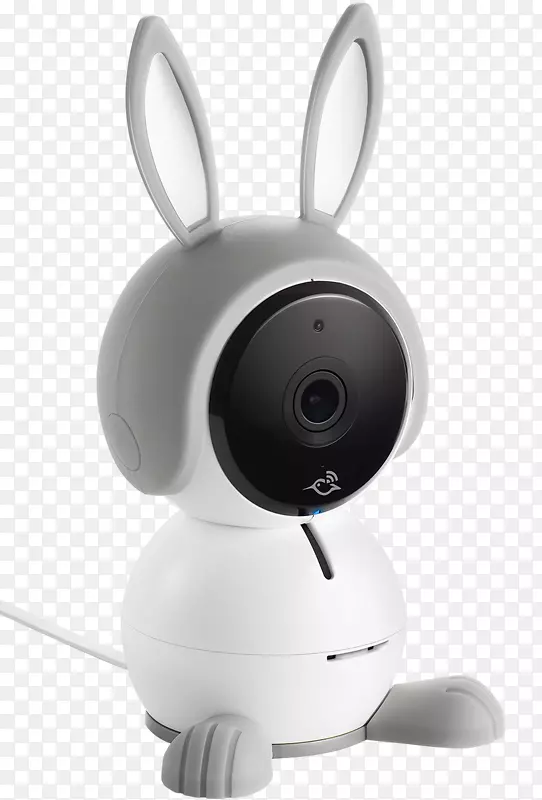 婴儿监视器无线安全摄像头NETGEAR 1080 p-灰兔
