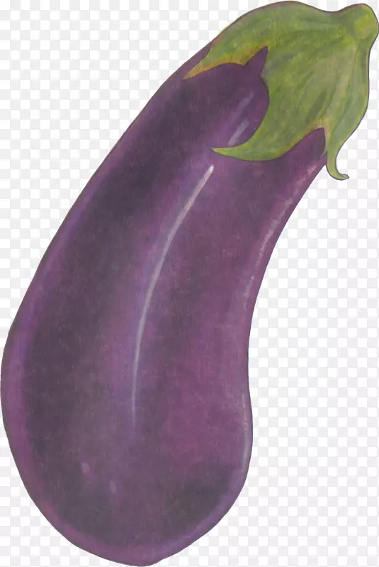 茄子紫色健康爱茄子