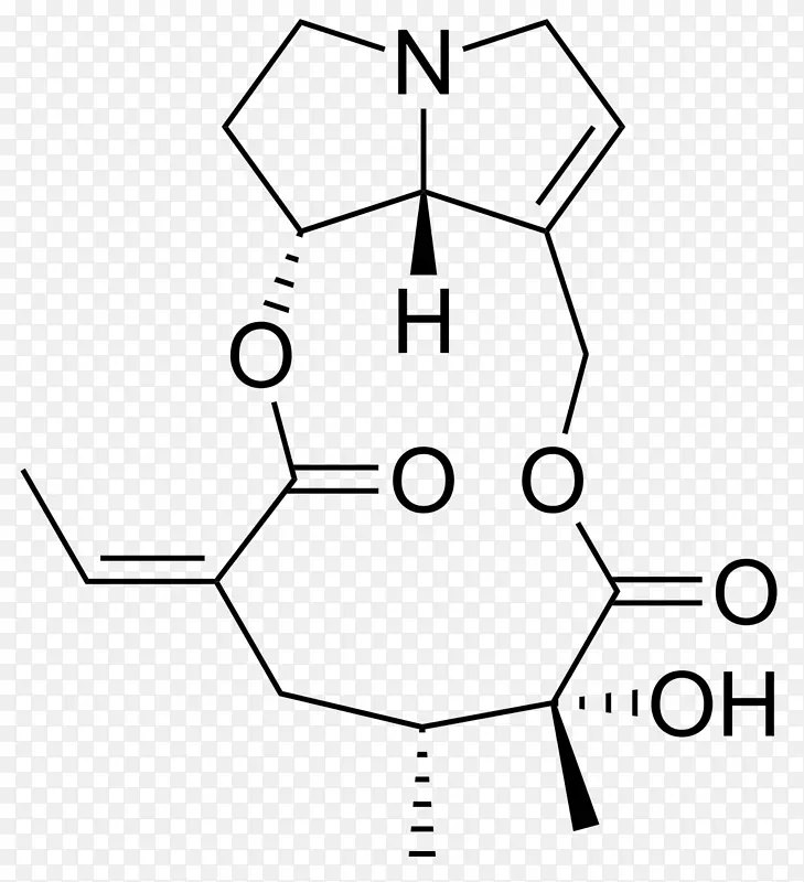 氨基酸化学核酸羧酸