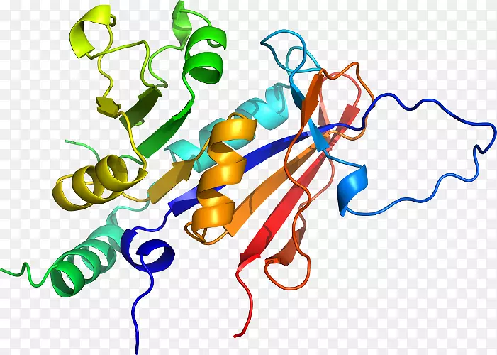 功能生物人类行为的二氢叶酸还原酶序列结构域