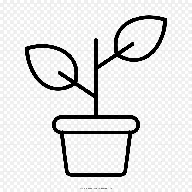 素描植物着色书剪贴画-植物