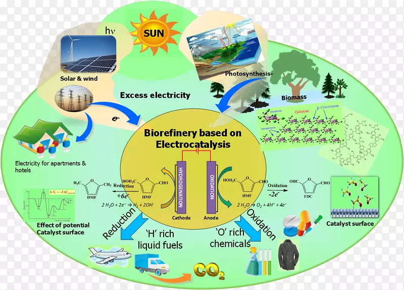 生物化学柏林技术研究所化学纳米粒子-柏林
