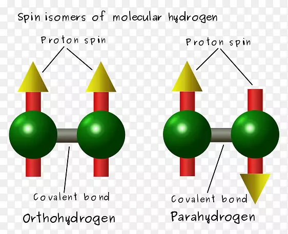 氢二氢水自旋异构体