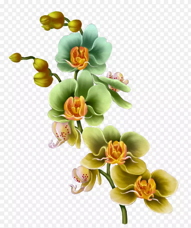 花卉设计花画-花卉