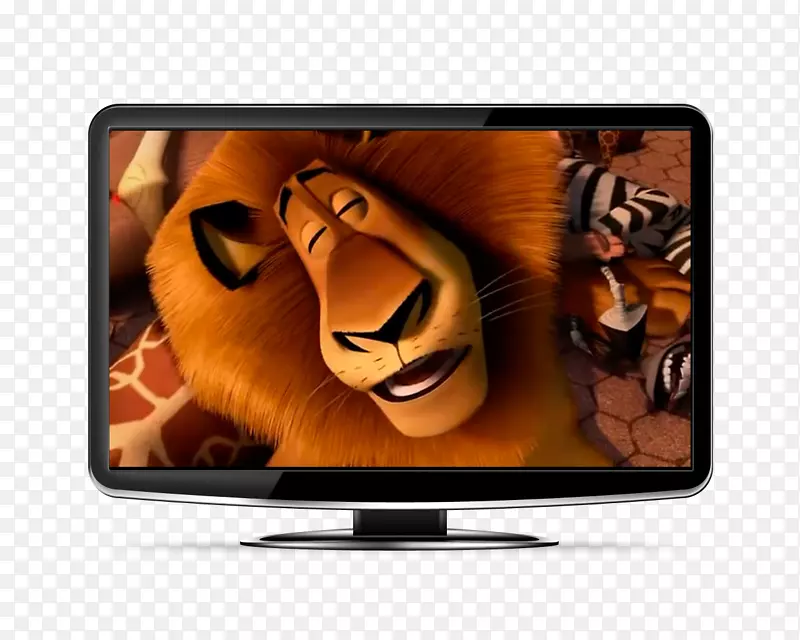 液晶电视显示装置平板显示电子产品马达加斯加马蒂