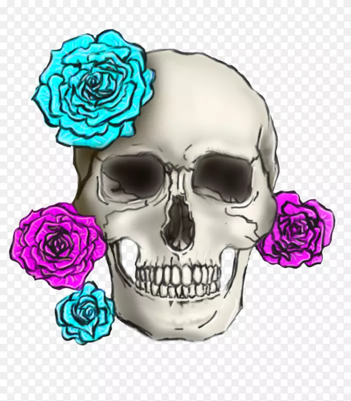 头盖骨花字体-头骨和玫瑰