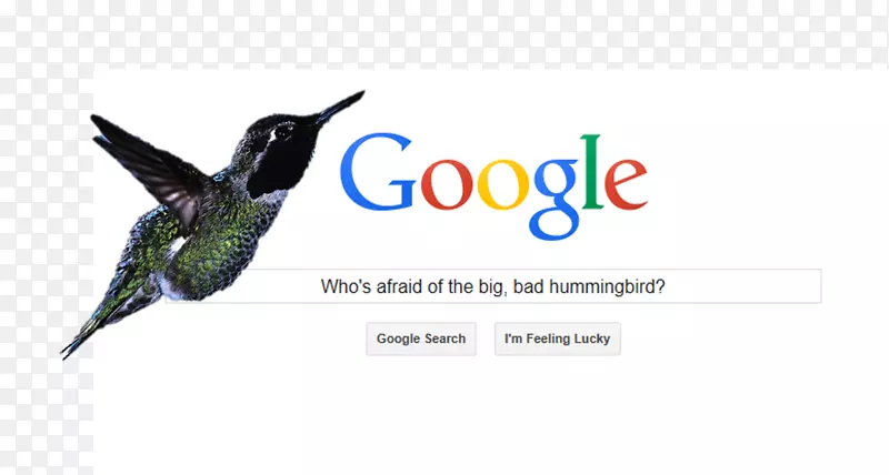 搜索引擎索引网页google-google