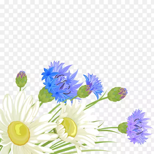 蓝切花菊花设计-花卉