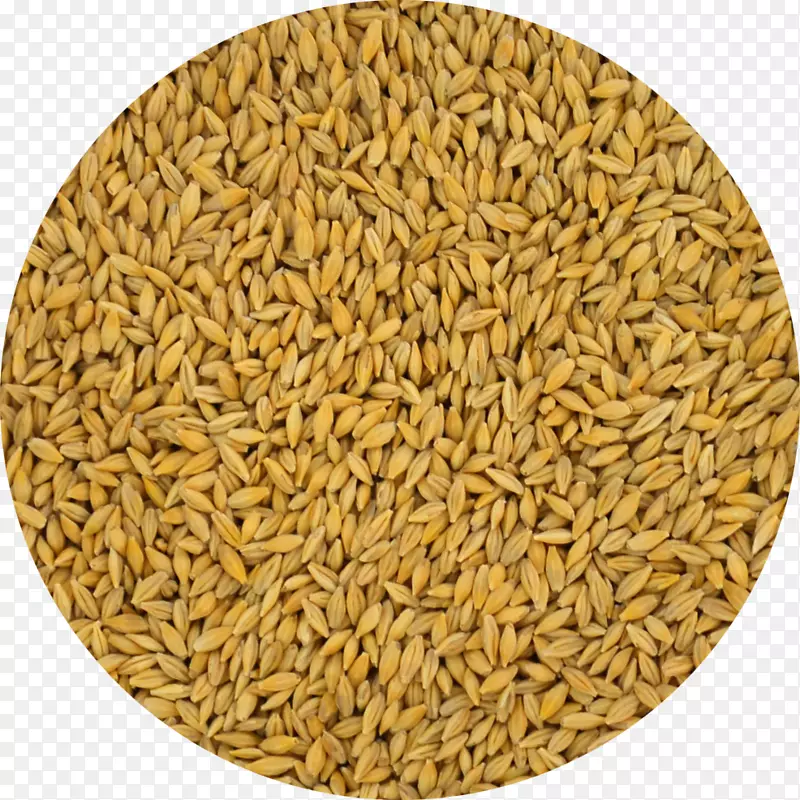 燕麦谷类全麦
