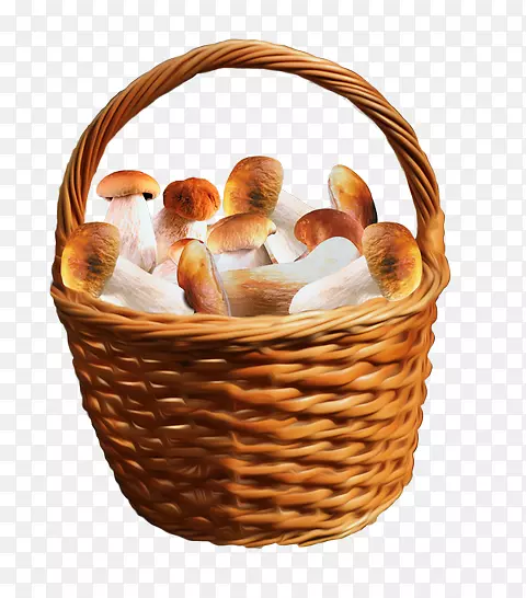 蘑菇篮木耳剪贴画-蘑菇