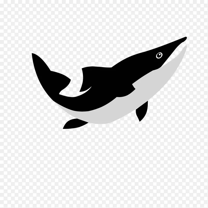 海豚甲壳动物白色剪贴画-海豚
