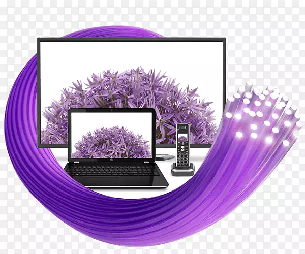 Telus电视互联网接入手机-紫色城堡