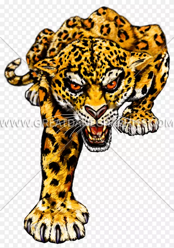豹纹美洲豹印花-美洲豹