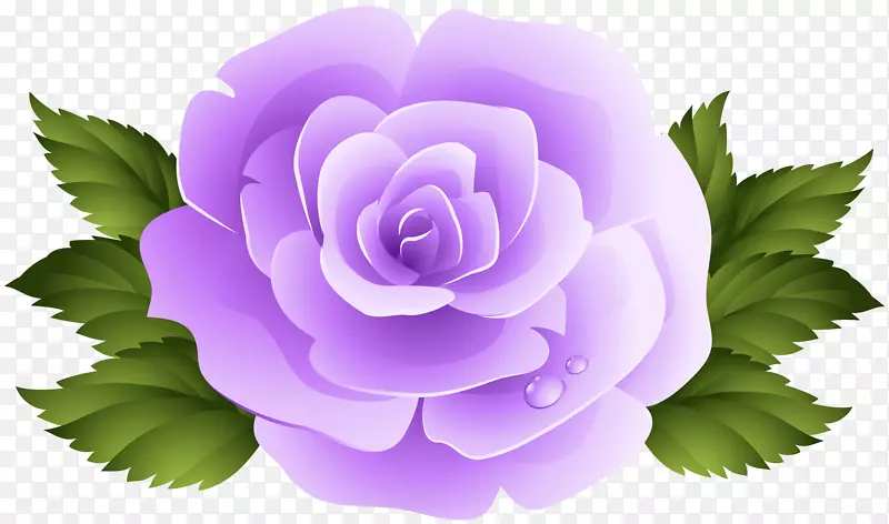 玫瑰紫罗兰剪贴画-3D玫瑰