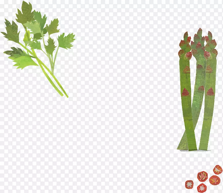 叶、蔬菜、植物茎、替代保健服务、药用树种