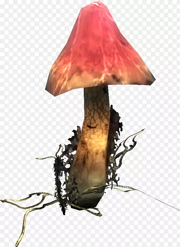 菌升菌菇-Grzyb