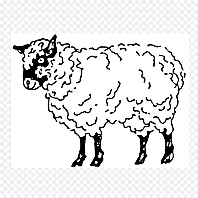 羊，牛群，动物夹，艺术.绵羊贺卡