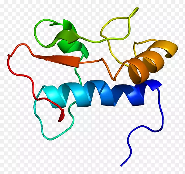 gtf2i通用转录因子基因组蛋白