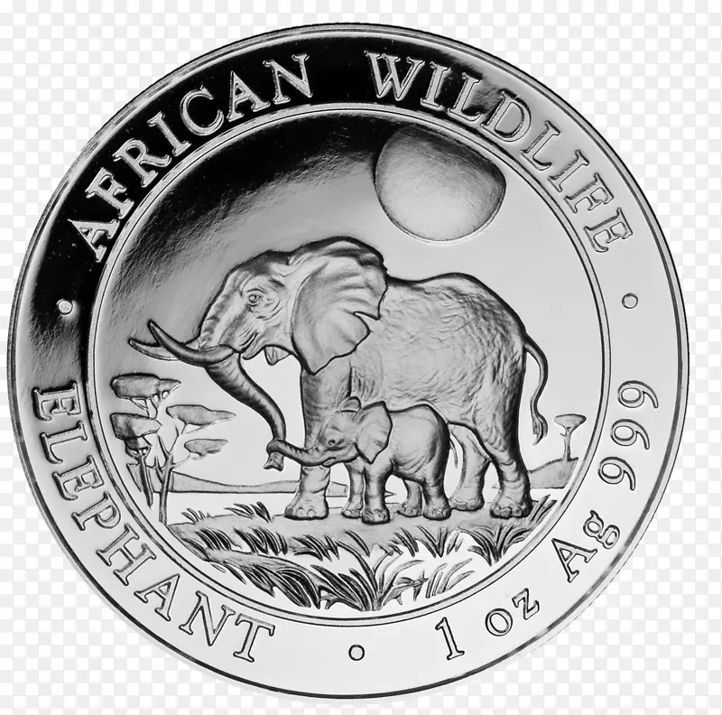 印度象银币非洲象硬币