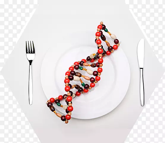 低脂饮食基因测试dna营养-健身胜地