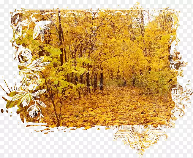 秋季数字图像-秋天