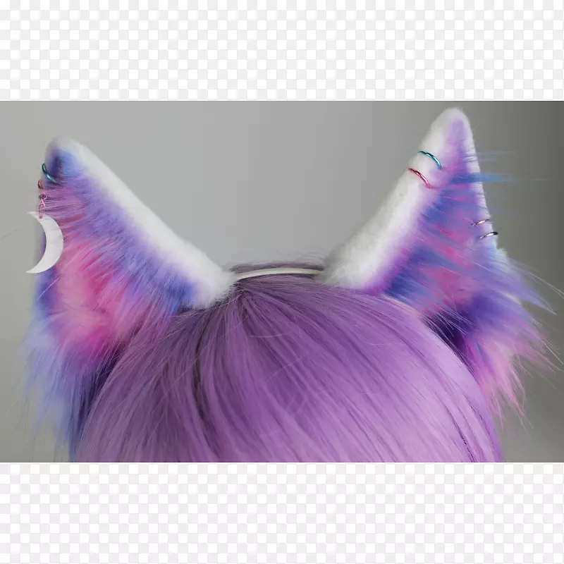 身穿紫耳狐猫-紫