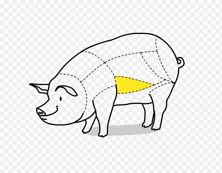 猪半臂画夹艺术-猪