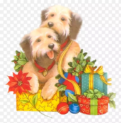 约克郡小猎犬诺福克小狗圣诞装饰品马耳他小狗-小狗