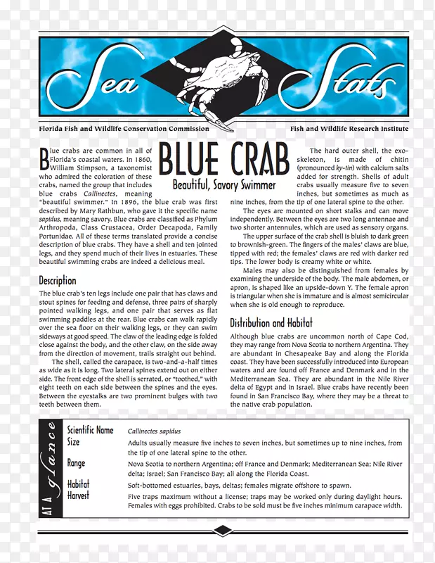 杂志字体-蓝蟹