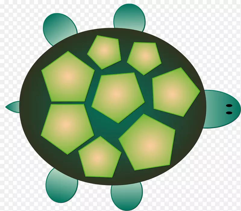 龟爬行动物剪贴画-海龟