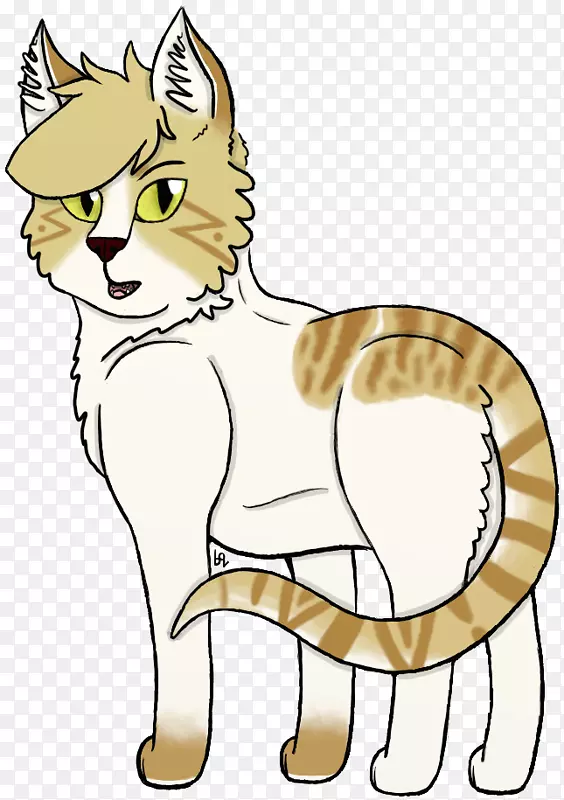 小胡子猫家养短毛猫野猫猫