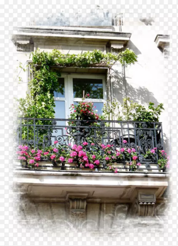 窗户立面花卉属性阳台-窗户