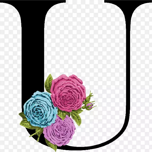 花园玫瑰，装饰性字母，花卉设计字母表-花