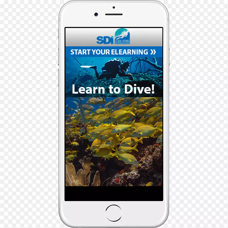 智能手机htc愿望眼专业协会潜水教练潜水水下潜水智能手机