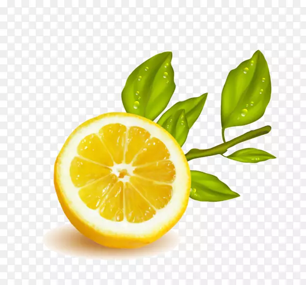 柠檬-酸橙饮料朗格普尔柑橘朱诺-柠檬