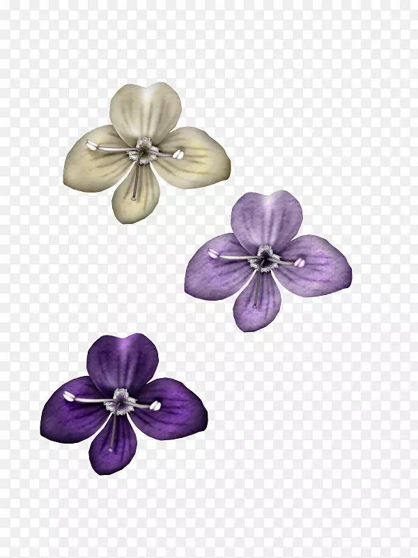 紫花瓣无损压缩
