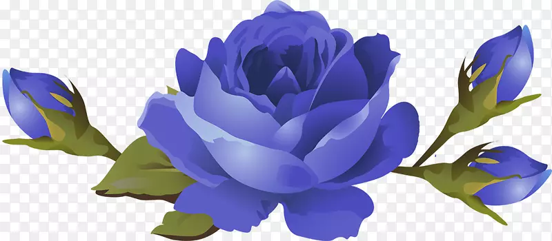 人造花甘蓝，玫瑰，花瓣-花