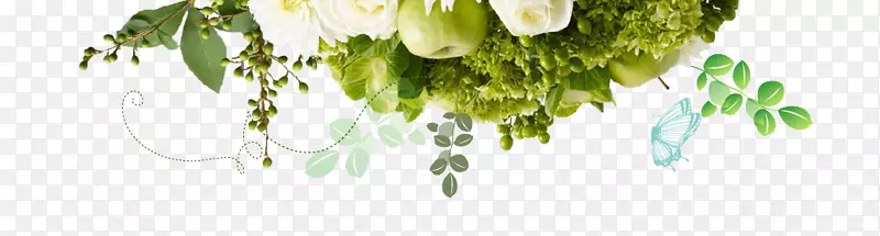 花卉设计切花植物茎叶结婚花盒