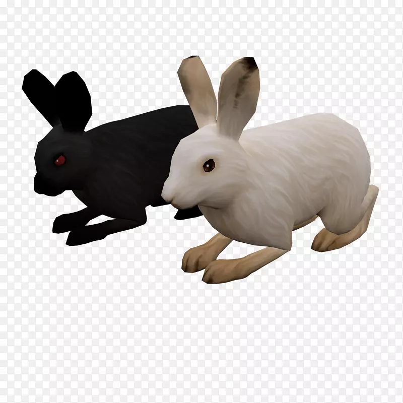 接线图福特NAA拖拉机家用兔子Tyto在线下一代科学标准-野兔