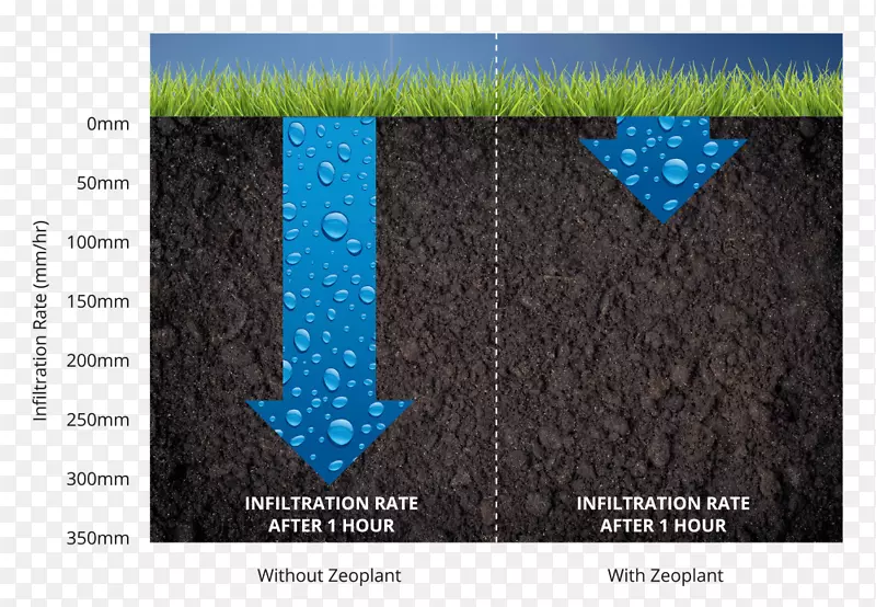 土壤灌溉水分花园设计.水