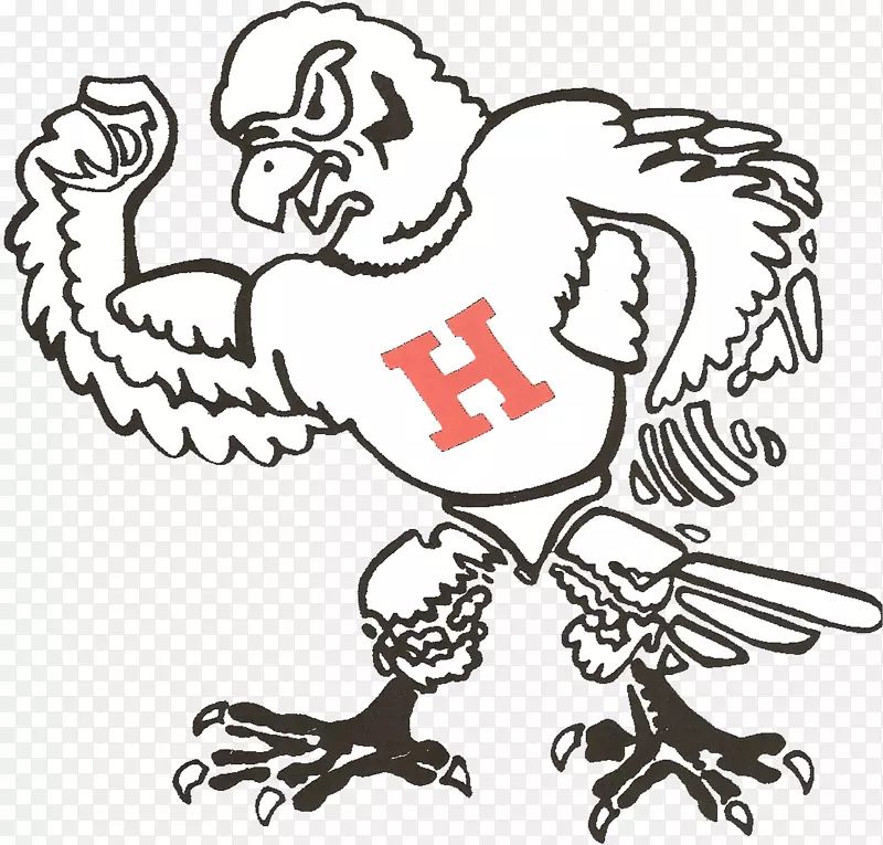 费城鹰Holliday高中卡罗莱纳黑豹吉祥物运动费城老鹰
