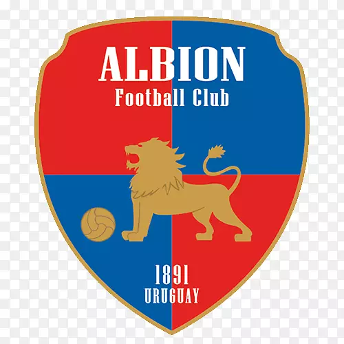 Albion F.C.乌拉圭蒙得维的亚