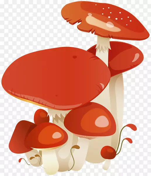 普通蘑菇博客木耳剪贴画-蘑菇