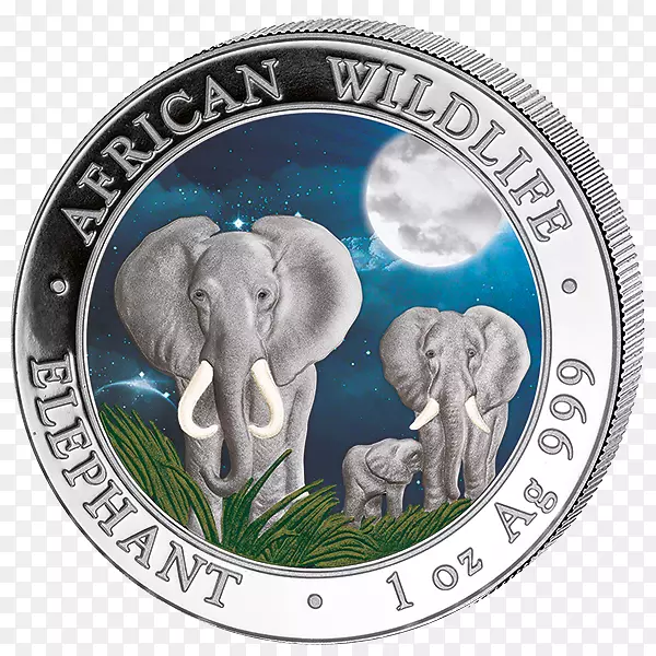 印度象币索马里非洲象变体象