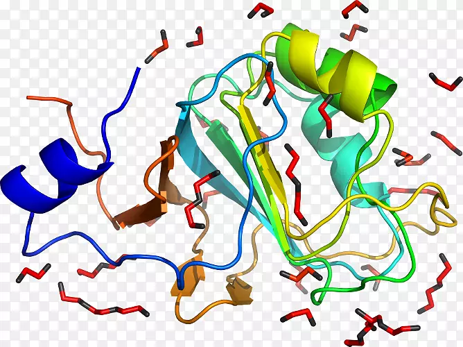 线点生物剪贴画线