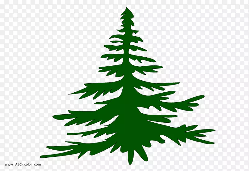 圣诞树，云杉，冷杉，圣诞装饰，松树.圣诞树