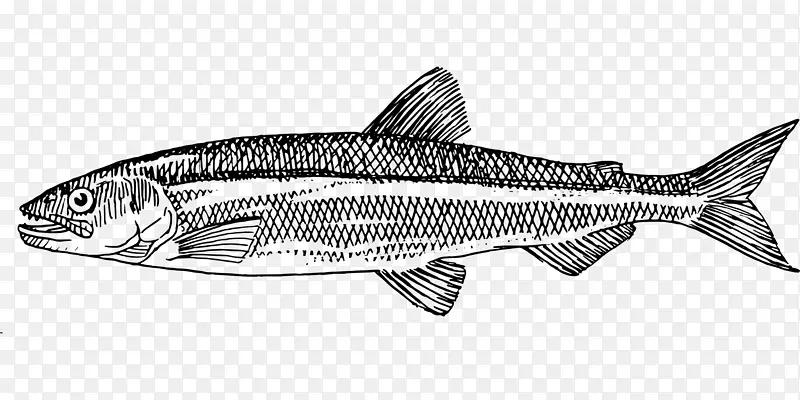 拉罗斯餐厅沙丁鱼画电脑图标剪贴画鱼食卡通