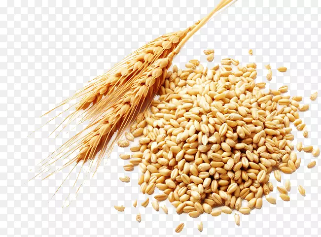 小麦浆果谷类杂粮