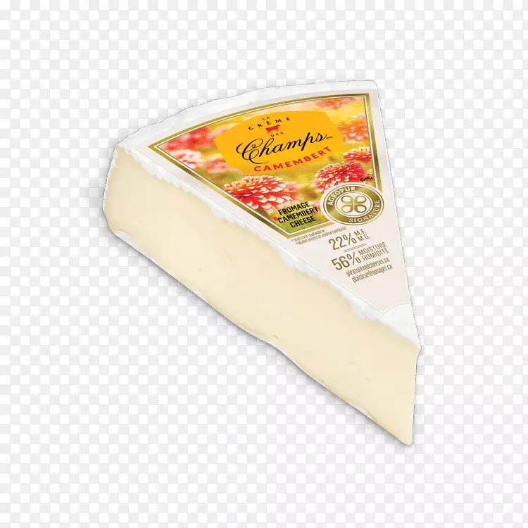 加工过的芝士粗干酪蒙塔西奥贝亚兹帕达诺奶酪