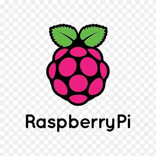 电脑机箱和外壳raspberry pi 3通用输入/输出电路